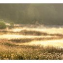 호숫가의아침 이미지