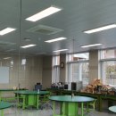 일로초등학교 이미지
