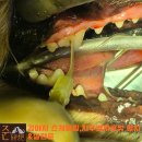 산들동물병원 이미지