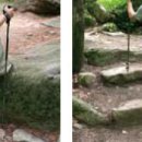 위치스틱 이미지