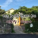 애월7일 | 제주 요가원 원데이 후기 l 애월7일 사쉬요가