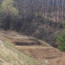 금문농장2 이미지