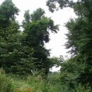 진덕사 석조약사불좌상 이미지