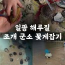 장화 | 일광 해루질 꽃게 군소 조개 포인트(가슴장화후기)