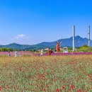 청솔농원