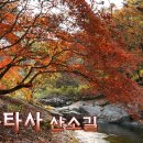 공작산 수타사산소길 & 치악산 구룡사계곡길... 이미지