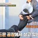 드린겐 애견테마파크 이미지