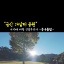 개삼각 이미지