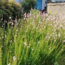 행복한민박 이미지