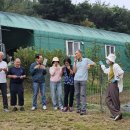 하모니카반 이미지