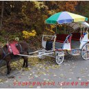 기평농장 이미지