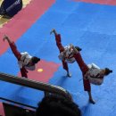 한국체대 호랑이 이미지