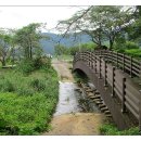 일암다리 이미지