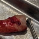 연우치과의원 이미지