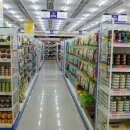 장보는 강아지와 고양이 이미지