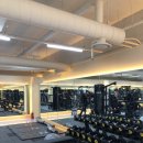 팰리스 피트니스 이미지