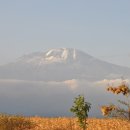 킬리만자로 이미지