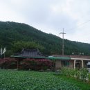 모정 마을회관? 이미지