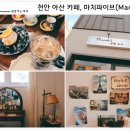 마치파이브(March 5)