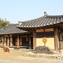 솔뫼성지 소나무 이미지