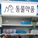 법수약국 네이버블로그