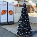 옛농고1길 이미지