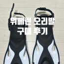 대구 북구 대학로9길 2 | 대구 북구청소년회관 수영장 후기 2 - 위베런 오리발 구매