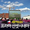 프라하 선셋시네마 | 루프탑 영화 sunset cinema 낭만 즐기기