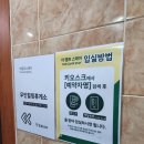 더 캠프 스테이 | 경주 더 캠프 스테이 캠프하우스에서의 하루 비 추천