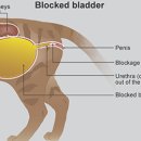 늘봄동물병원 이미지