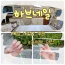 하브네일 | 양주 옥정 네일샵 추천 자석젤 맛집 유지력 좋은 하브 네일 내돈내산 후기