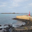 대포동 등명대 이미지