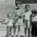 마항 이미지