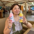 한국그랜드쇼핑(한국1차상가) | [필리핀 세부] (1월) 모알보알 쇼핑리스트 (기념품샵, 그랜드 가이사노몰)