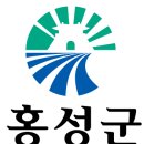 홍성군청 이미지