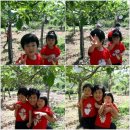 유현농장 이미지