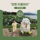 경기도 양평군 사랑나무어린이집 | 서울 근교 아이랑 힐링하기 좋은 곳 I 양평 두물머리 여행기