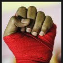 김주헌챔프복싱클럽 이미지