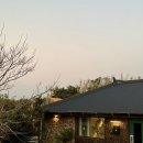 메르시하도 이미지