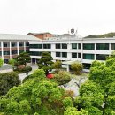 담양군 반려유기동물 공공진료소 이미지