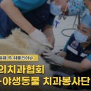 여주메디칼약국 데일리벳