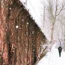해태거리길 삼거리 이미지