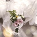 순천장의사