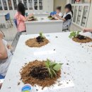 원평초교 이미지