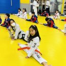 고양 용인대 백호 태권도장 이미지