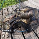 그린좌대낚시터 이미지