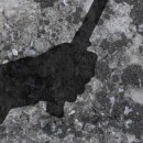 성산구 ⓒ-11 이미지