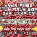 2026년 햇 건고추 고추가루 고춧가루 시세 가격 선주문 예약 판매 구입 주문 1근 한근 500그램 600그램 500g 600g 맵기 이미지