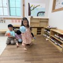 샤워볼놀이 / 과일꽂이 요리활동 / 낚시놀이 / 체육활동 이미지