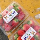 기두농장 이미지